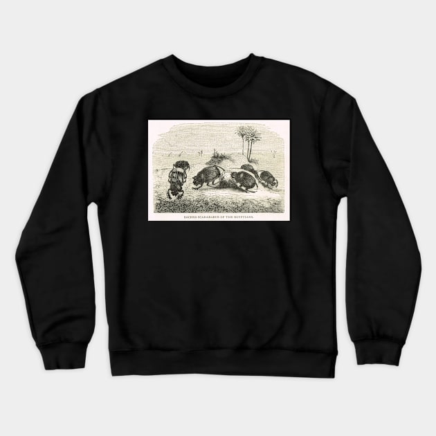 Sacred Scarabs of the Egyptians Crewneck Sweatshirt by artfromthepast